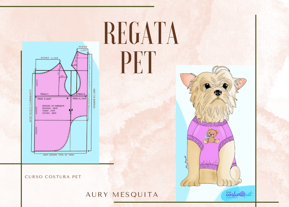 Regata para Cães