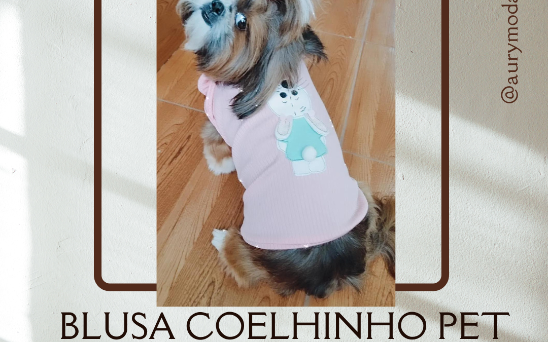 AULA DE COSTURA BLUSA COELHINHO PET