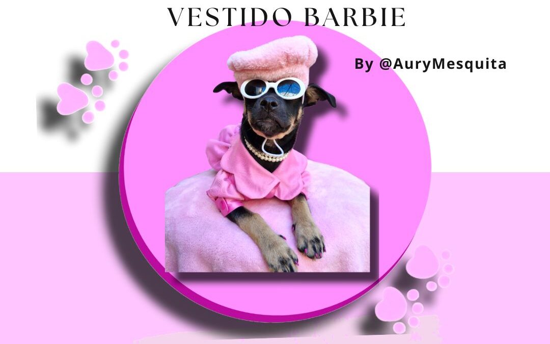 Vestido Barbie _ Costura Pet