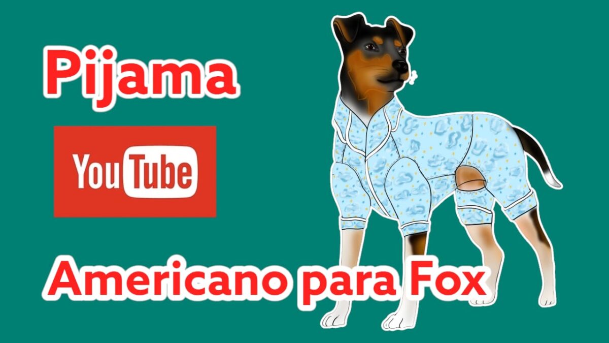 PIJAMA AMERICANO PARA FOX PAULISTINHA