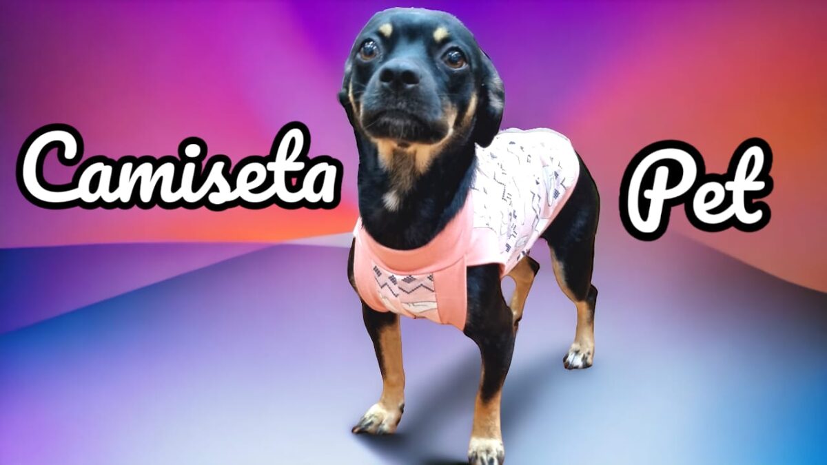 Camiseta inteira para cachorros