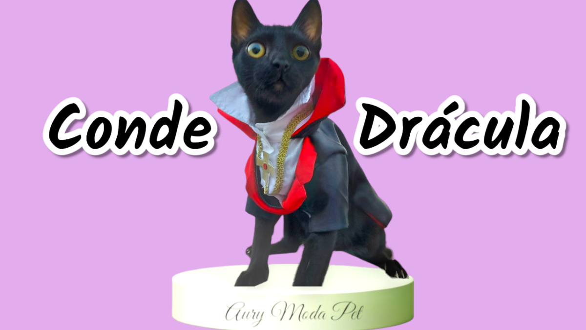 FANTASIA CONDE DRÁCULA PARA GATOS