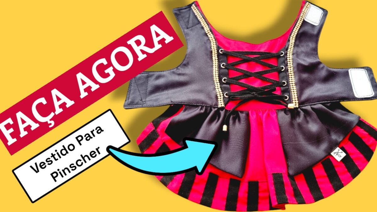 Costurando um Vestido de Piratinha para Pets: Passo a Passo Completo com a Professora Aury