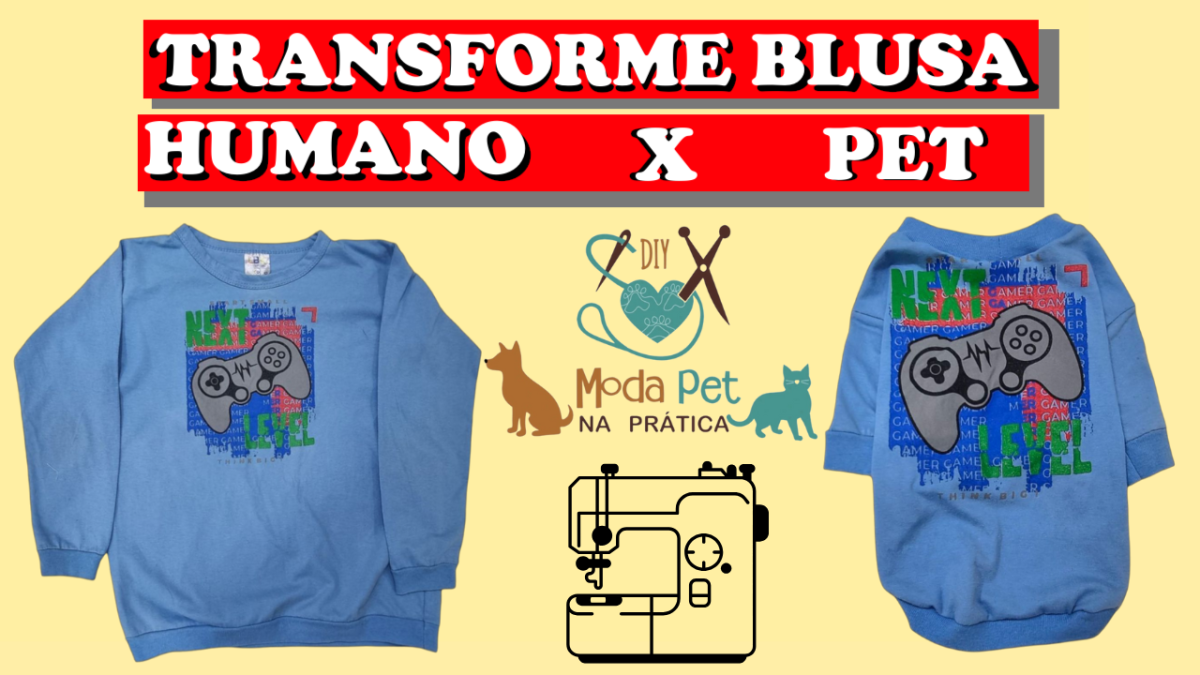 Como Fazer Roupa para Cachorro com Camisa Velha: Passo a Passo com Molde Grátis