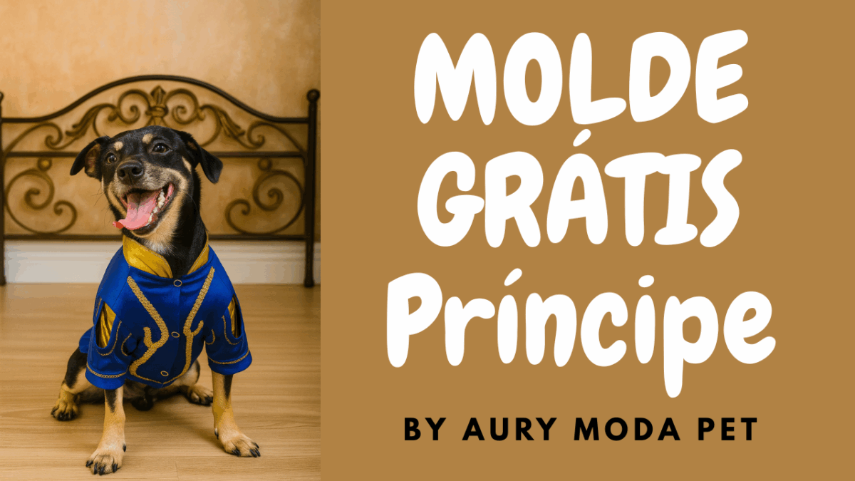 Claro! Com base na aula do YouTube sobre o look pet inspirado no Príncipe da Branca de Neve, aqui está um conteúdo otimizado para o seu blog, com tom envolvente e informativo para quem ama moda pet: