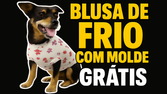Com o frio batendo à porta, que tal aquecer seu pet com uma blusinha feita por você mesma? Neste tutorial completo, você vai aprender o passo a passo para costurar uma blusa de frio super confortável para seu bichinho, usando molde gratuito e tecidos com elasticidade que garantem o ajuste ideal ao corpinho dele.