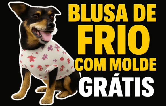 Com o frio batendo à porta, que tal aquecer seu pet com uma blusinha feita por você mesma? Neste tutorial completo, você vai aprender o passo a passo para costurar uma blusa de frio super confortável para seu bichinho, usando molde gratuito e tecidos com elasticidade que garantem o ajuste ideal ao corpinho dele.