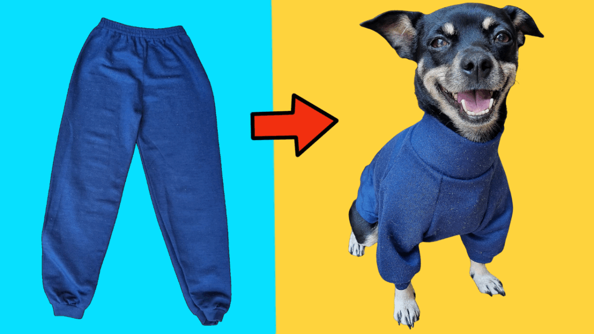 Transforme Suas Roupas Antigas em Agasalho Quentinho para o Seu Pet!