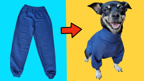 Você sabia que aquele moletom velho, que você não usa mais, pode virar uma roupinha super aconchegante para o seu pet? Pois é! Em vez de deixar suas roupas paradas, que tal dar uma nova vida a elas e manter seu amiguinho de quatro patas quentinho? Se você ainda não sabe como fazer isso, fica com a gente que vou te ensinar o passo a passo para transformar a peça velha em uma roupinha de inverno maravilhosa para o seu pet.